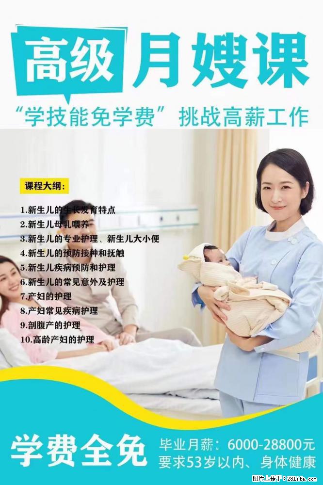 为什么要学习月嫂，育婴师？ - 其他广告 - 广告专区 - 图木舒克分类信息 - 图木舒克28生活网 tmsk.28life.net