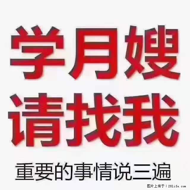 为什么要学习月嫂，育婴师？ - 新手上路 - 图木舒克生活社区 - 图木舒克28生活网 tmsk.28life.net