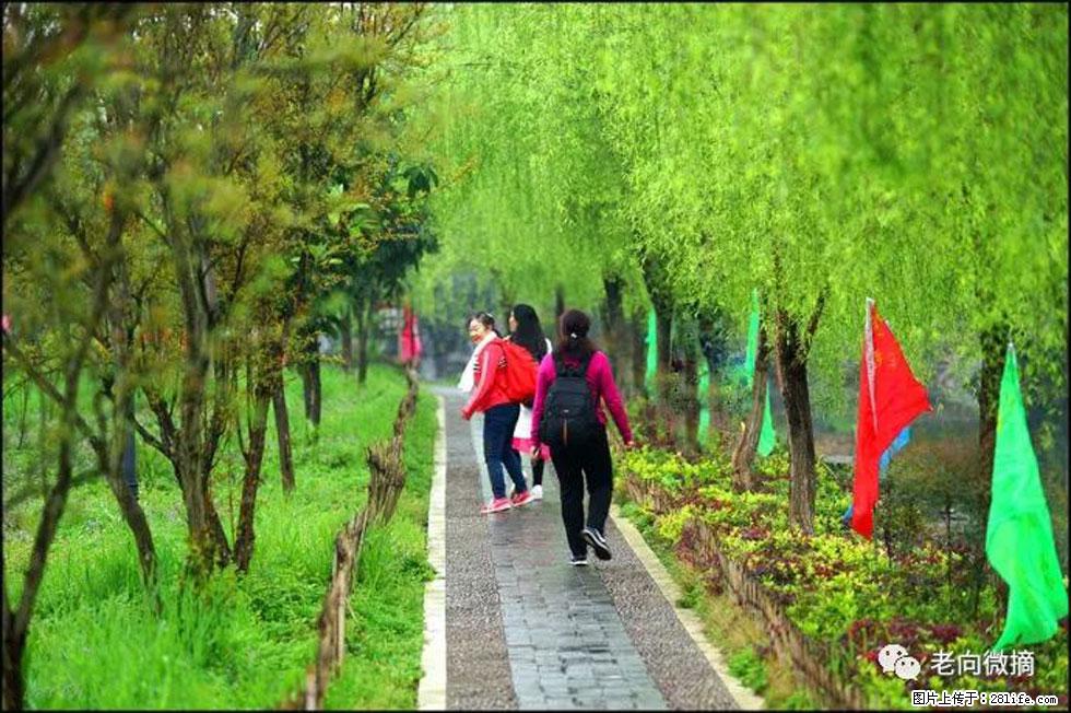 【春天，广西桂林灌阳县向您发出邀请！】江口老街又逢春 - 游山玩水 - 图木舒克生活社区 - 图木舒克28生活网 tmsk.28life.net