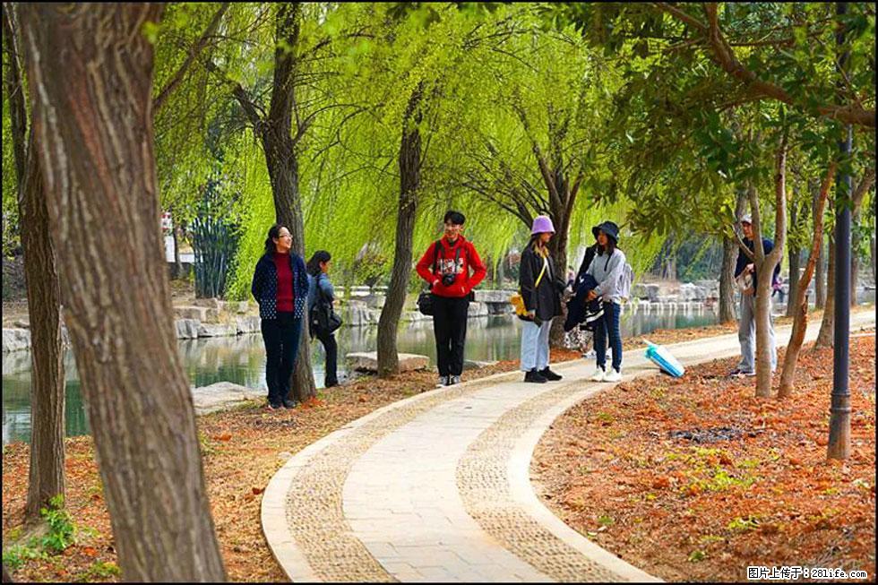 【春天，广西桂林灌阳县向您发出邀请！】江口老街又逢春 - 游山玩水 - 图木舒克生活社区 - 图木舒克28生活网 tmsk.28life.net