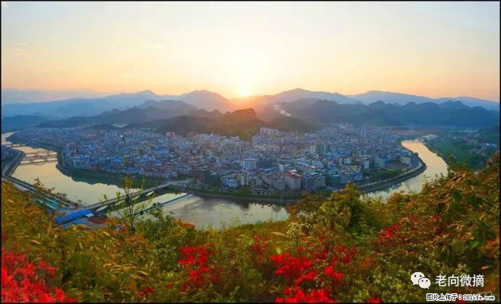 【春天，广西桂林灌阳县向您发出邀请！】登麒麟山，相约映山红 - 游山玩水 - 图木舒克生活社区 - 图木舒克28生活网 tmsk.28life.net