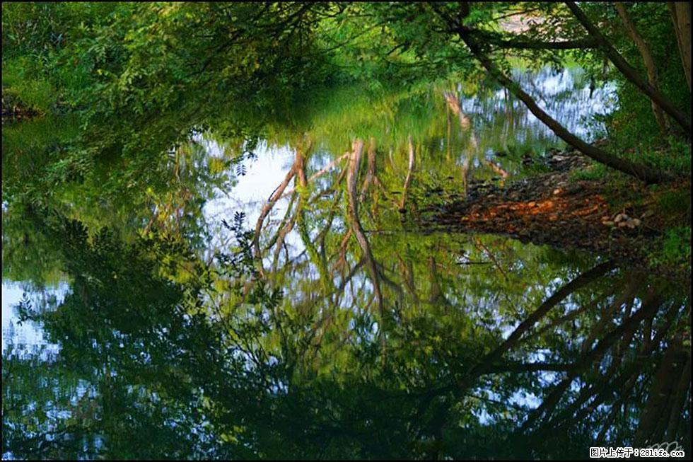 【春天，广西桂林灌阳县向您发出邀请！】熊家寨湿地公园 - 游山玩水 - 图木舒克生活社区 - 图木舒克28生活网 tmsk.28life.net