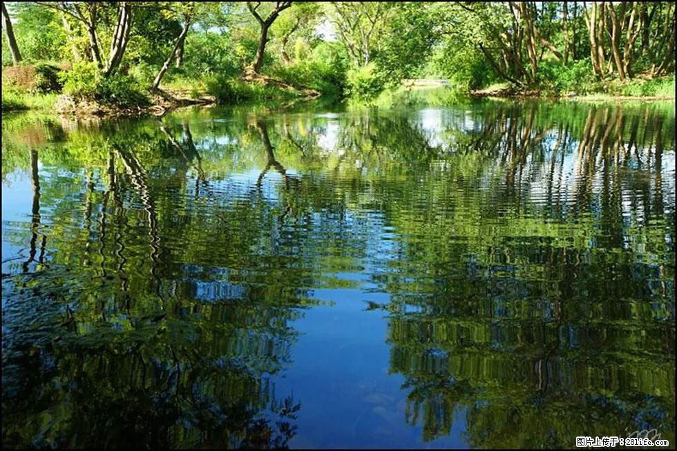 【春天，广西桂林灌阳县向您发出邀请！】熊家寨湿地公园 - 游山玩水 - 图木舒克生活社区 - 图木舒克28生活网 tmsk.28life.net