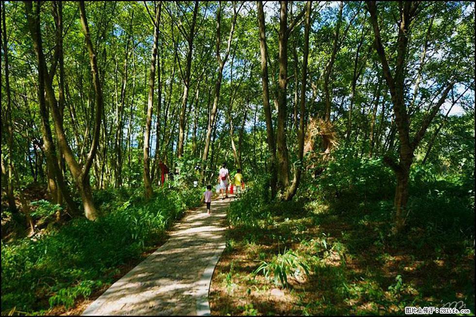 【春天，广西桂林灌阳县向您发出邀请！】熊家寨湿地公园 - 游山玩水 - 图木舒克生活社区 - 图木舒克28生活网 tmsk.28life.net