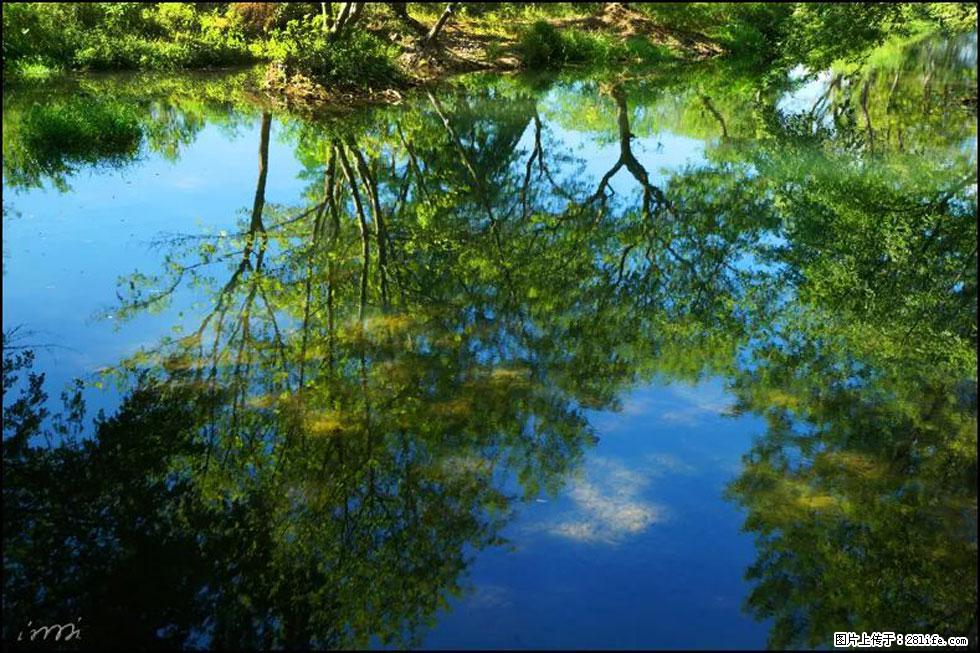 【春天，广西桂林灌阳县向您发出邀请！】熊家寨湿地公园 - 游山玩水 - 图木舒克生活社区 - 图木舒克28生活网 tmsk.28life.net