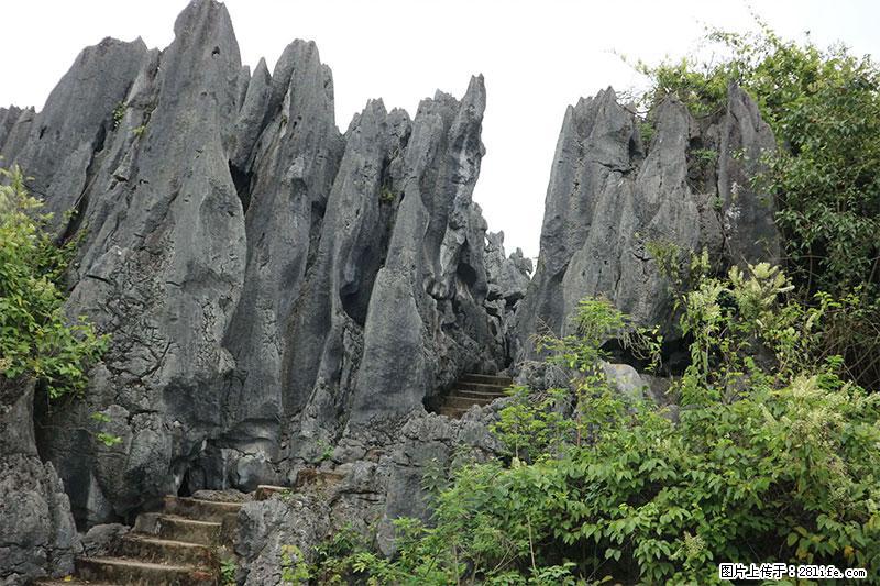 桂林旅游名城景点：灌阳文市石林 - 游山玩水 - 图木舒克生活社区 - 图木舒克28生活网 tmsk.28life.net