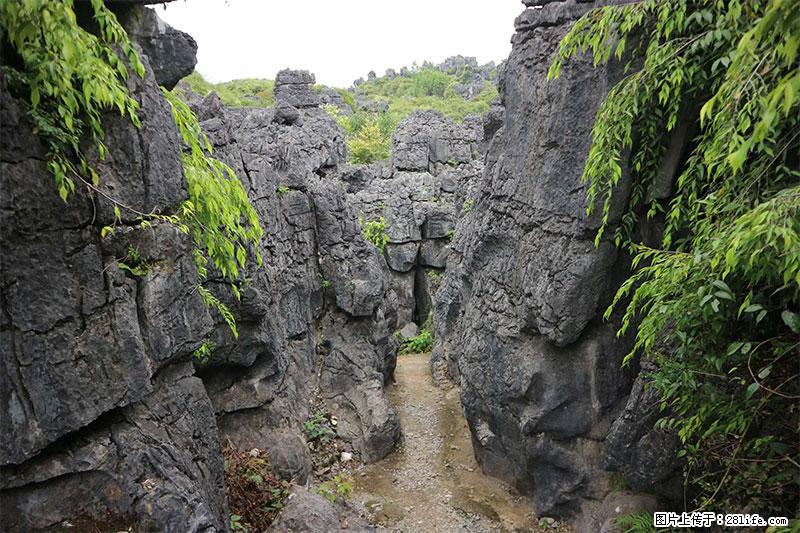 桂林旅游名城景点：灌阳文市石林 - 游山玩水 - 图木舒克生活社区 - 图木舒克28生活网 tmsk.28life.net