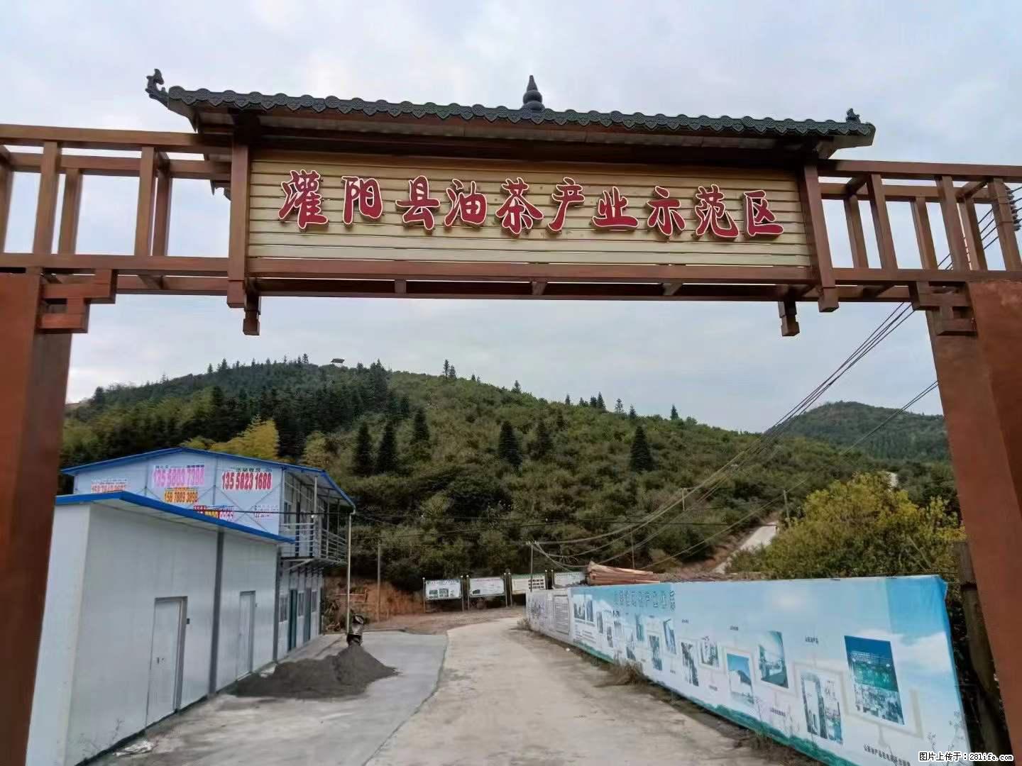 【灌阳县油茶产业示范区】一个有着充实的精神生活的人，对待身外之物自会有一种淡泊的态度 - 土特产 - 饮食特产 - 图木舒克分类信息 - 图木舒克28生活网 tmsk.28life.net