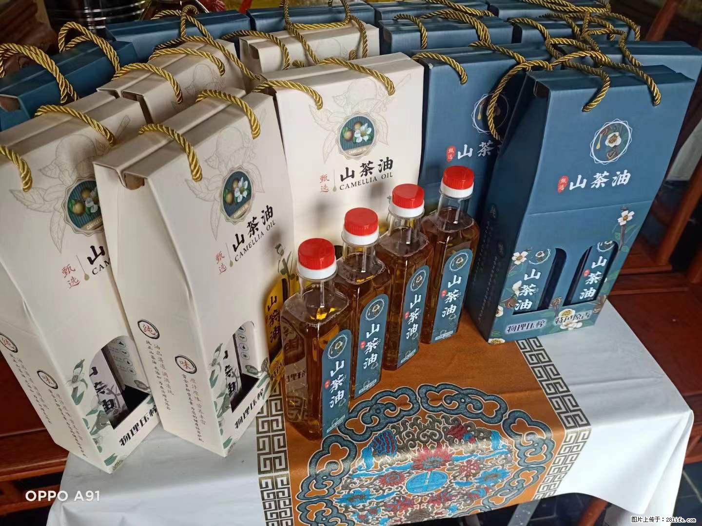 【灌阳县油茶产业示范区】一个有着充实的精神生活的人，对待身外之物自会有一种淡泊的态度 - 美食天地 - 图木舒克生活社区 - 图木舒克28生活网 tmsk.28life.net