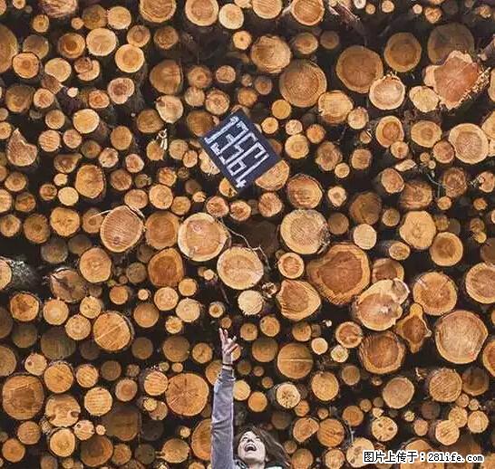 辞掉工作周游世界？现在他们在洗厕所…… - 游山玩水 - 图木舒克生活社区 - 图木舒克28生活网 tmsk.28life.net