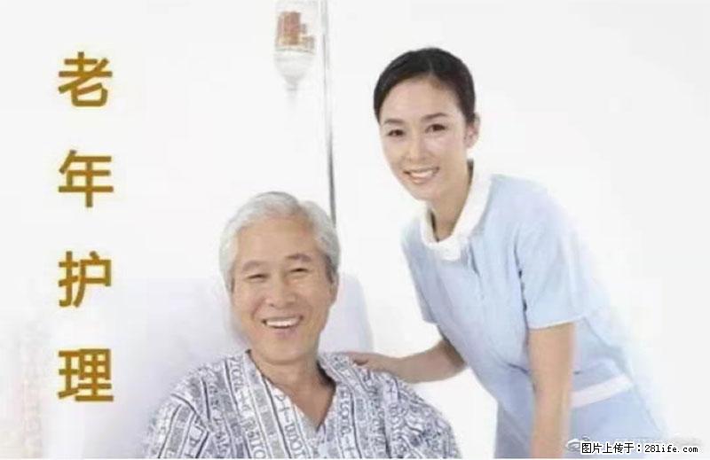 上海国企养老院，星级酒店环境，招聘养老护工 - 职场交流 - 图木舒克生活社区 - 图木舒克28生活网 tmsk.28life.net