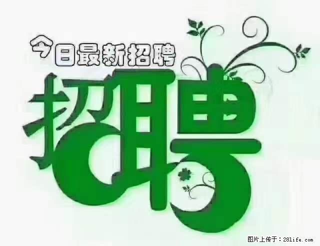 【招聘摄像师】待遇：试用期6000元/月，转正7000元/月+五险一金+餐补+节日福利+奖金 - 职场交流 - 图木舒克生活社区 - 图木舒克28生活网 tmsk.28life.net
