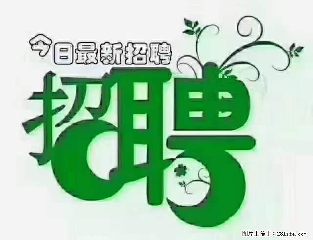 上海青浦区招仓管 - 职场交流 - 图木舒克生活社区 - 图木舒克28生活网 tmsk.28life.net