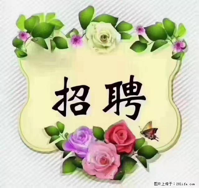 【招聘】住家育儿嫂，上户日期：4月4日，工作地址：上海 黄浦区 - 职场交流 - 图木舒克生活社区 - 图木舒克28生活网 tmsk.28life.net