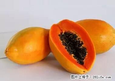 晕车、脚气、牙齿变黄、皮肤粗糙？学会这些三分钟搞定！ - 图木舒克生活资讯 - 图木舒克28生活网 tmsk.28life.net