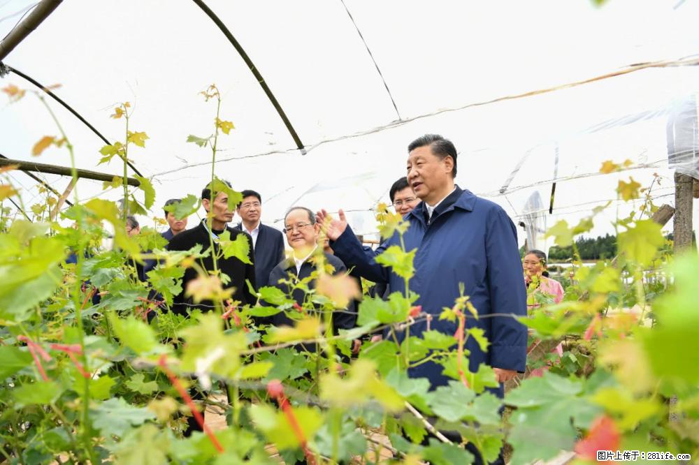 习近平赴广西考察调研 - 图木舒克生活资讯 - 图木舒克28生活网 tmsk.28life.net