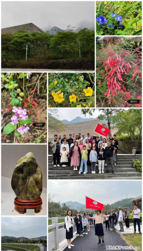 “粤灌文化 美好生活”油茶文化主题活动在广东深圳成功举办 - 图木舒克生活资讯 - 图木舒克28生活网 tmsk.28life.net