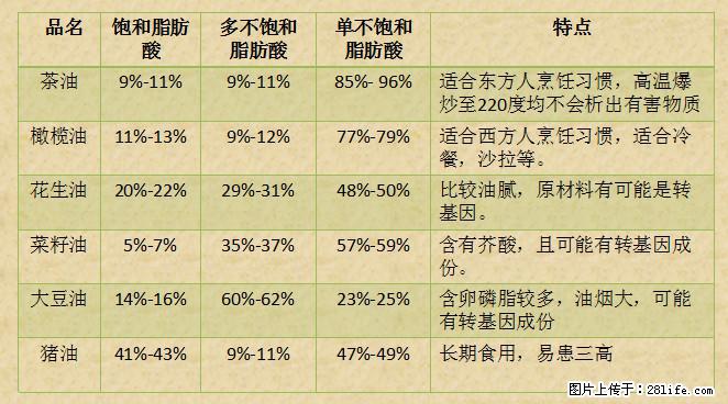 揭秘茶油的5大核心营养成分！被称为人体健康的“守护盾”！ - 图木舒克生活资讯 - 图木舒克28生活网 tmsk.28life.net