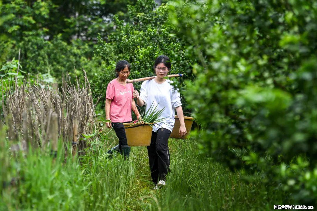 全网追的“扁担女孩”，找了一份暑假工，时薪12元 - 图木舒克生活资讯 - 图木舒克28生活网 tmsk.28life.net