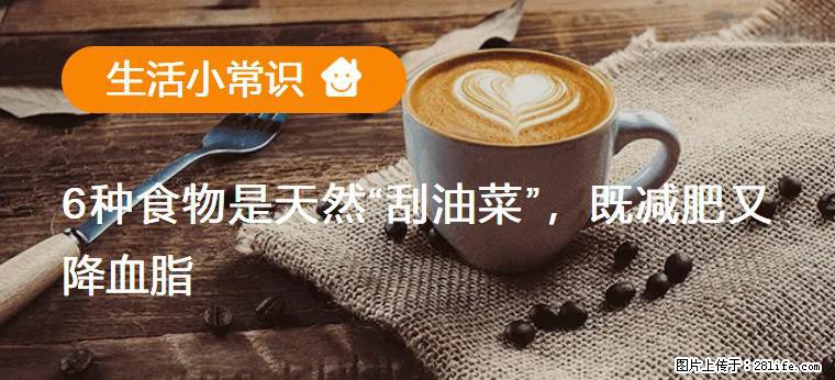 【生活小常识】6种食物是天然“刮油菜”，既减肥又降血脂 - 图木舒克生活资讯 - 图木舒克28生活网 tmsk.28life.net
