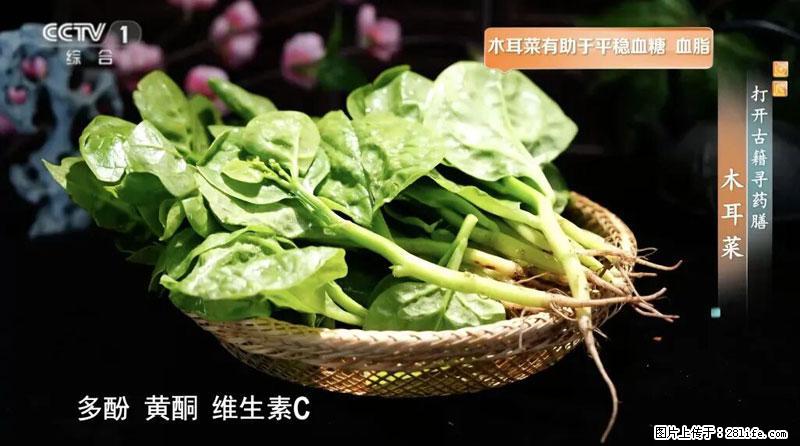 比牛奶补钙还厉害！凉血解毒、稳血糖...这菜冬天必吃，很多人却当草 - 图木舒克生活资讯 - 图木舒克28生活网 tmsk.28life.net