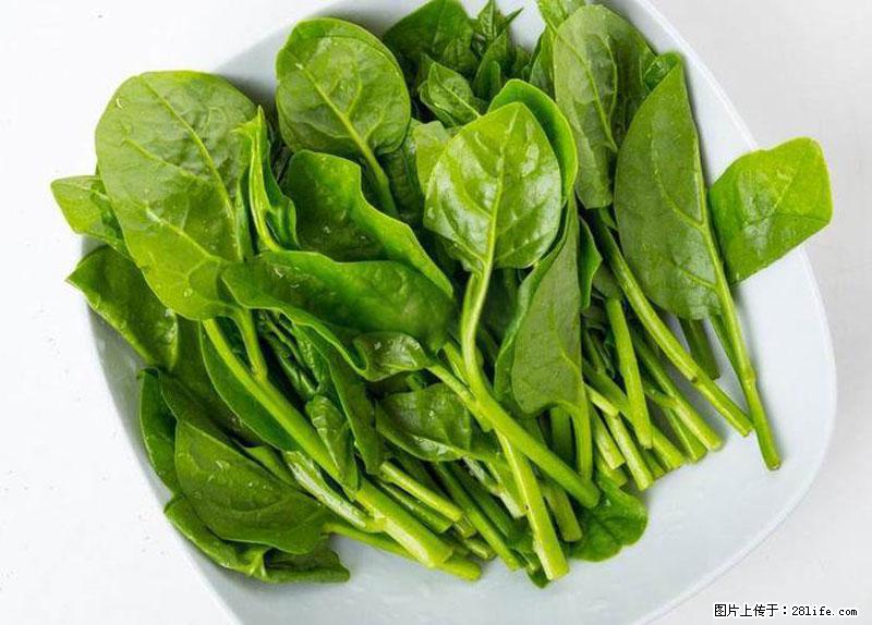 这些蔬菜是“天然钙片”,这6种被医生重点推荐 - 图木舒克生活资讯 - 图木舒克28生活网 tmsk.28life.net