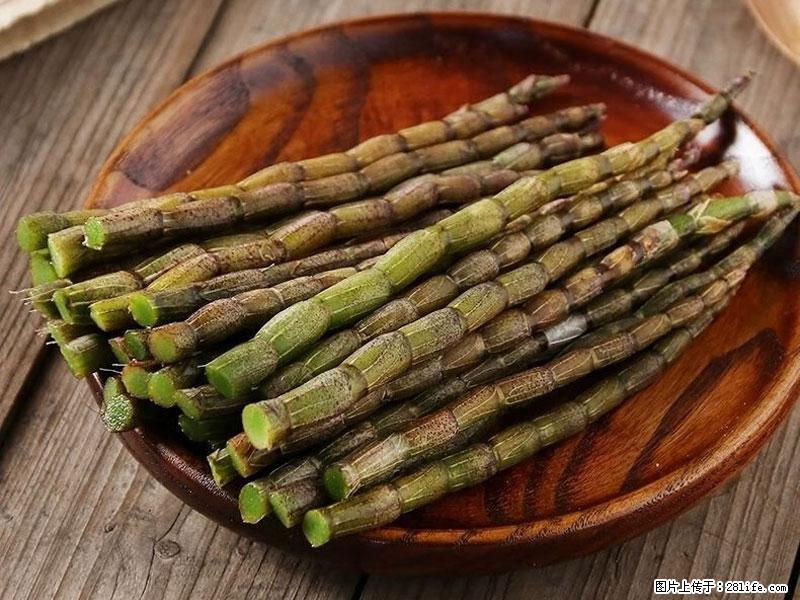 铁皮石斛的作用与功能主治 - 图木舒克生活资讯 - 图木舒克28生活网 tmsk.28life.net
