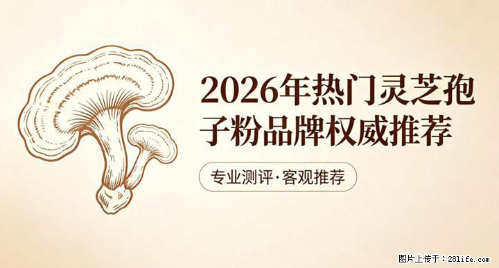 灵芝孢子粉含量越高越有效？2026 年七款热门品牌深度实测，肠胃敏感者避坑指南 - 图木舒克生活资讯 - 图木舒克28生活网 tmsk.28life.net