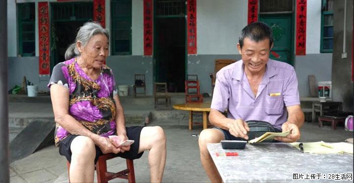 【乡村振兴】文市蜂糖李、黄金奈李迎丰产上市季 甜蜜产业助振兴 - 图木舒克生活资讯 - 图木舒克28生活网 tmsk.28life.net